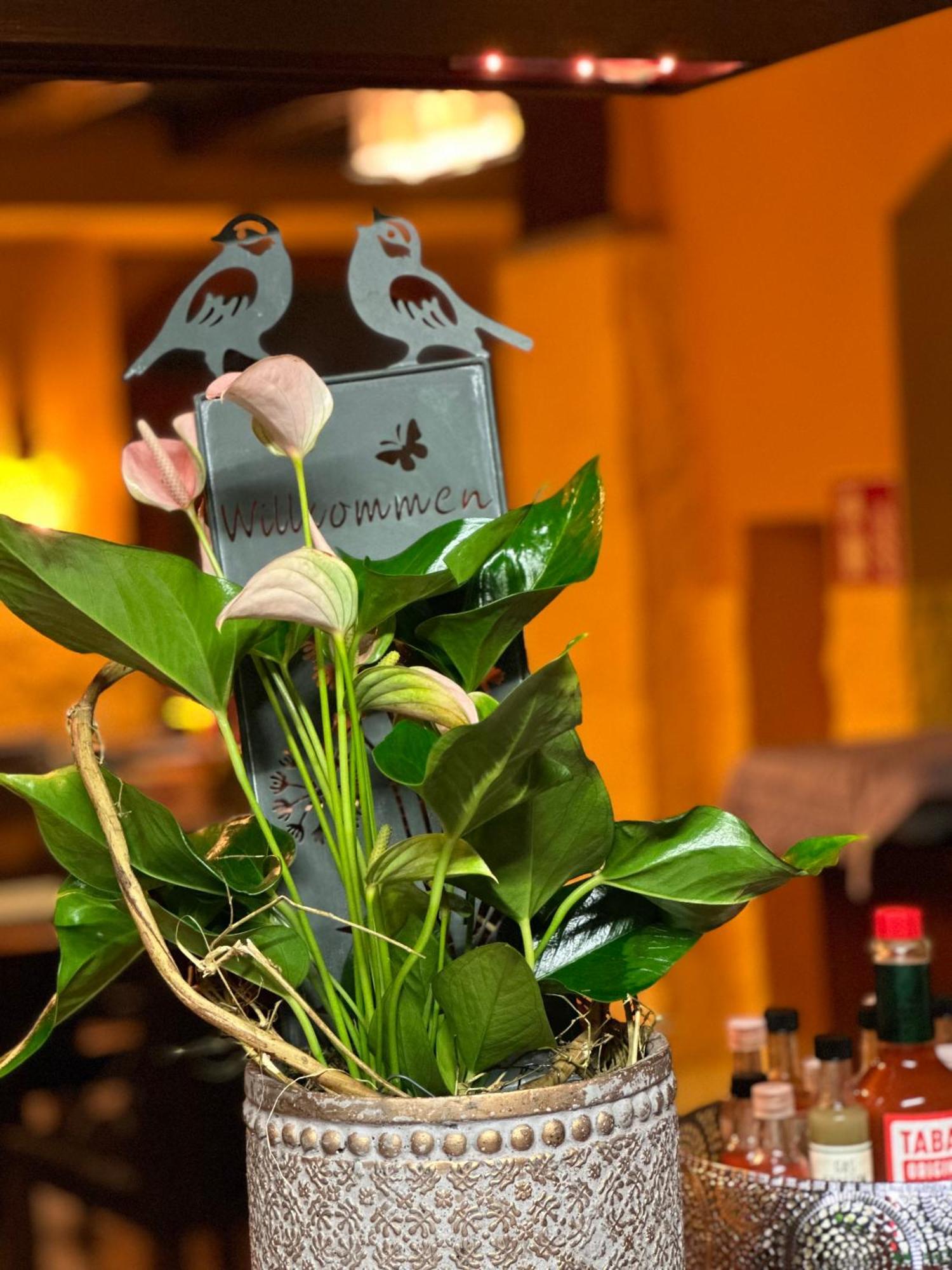 Gasthof Hasen Grill Masters Geislingen Buitenkant foto